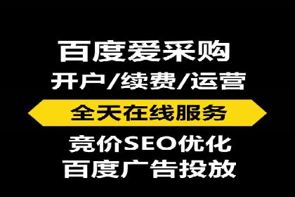 成功SEM托管代运营案例分析